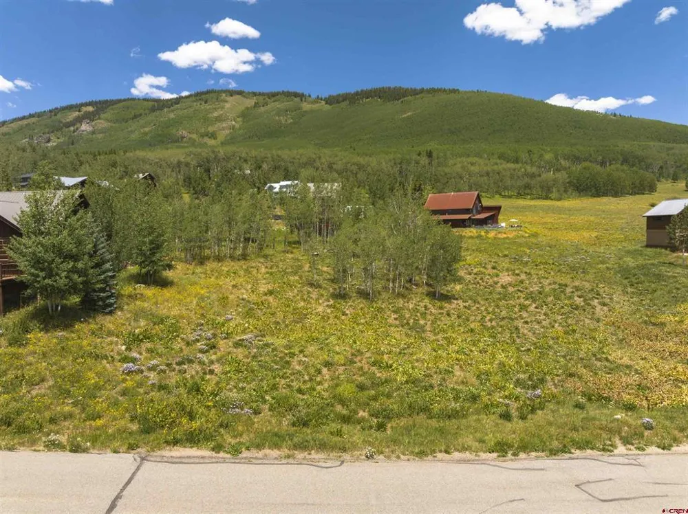 39 East Lane Crested Butte, CO 81224