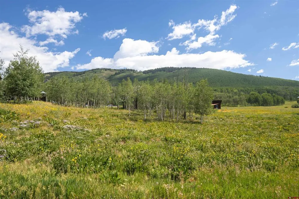 39 East Lane Crested Butte, CO 81224