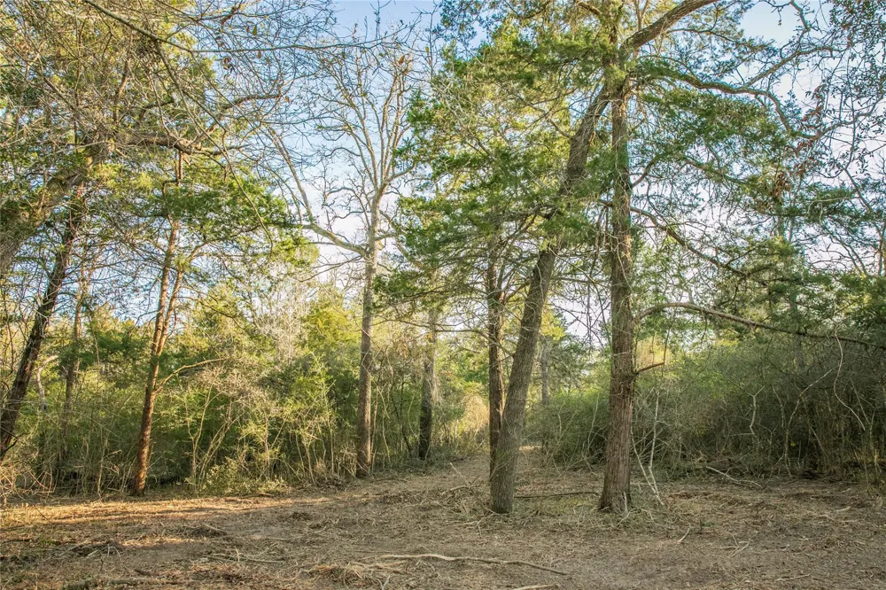 Schoenau Rd Brenham, TX 77833