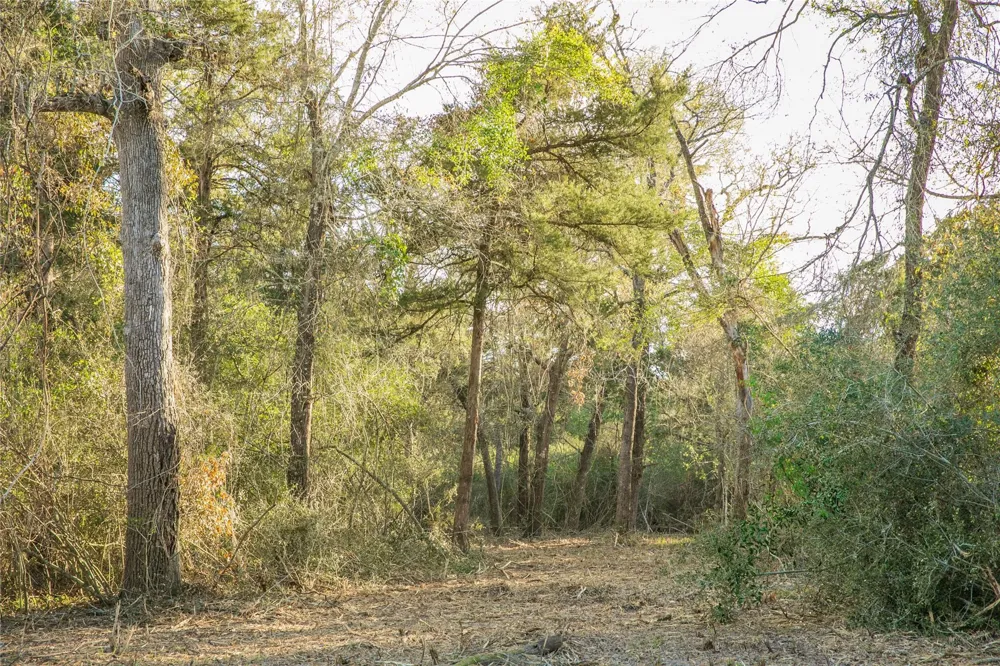 Schoenau Rd Brenham, TX 77833