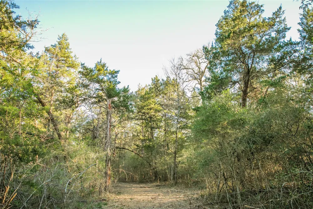 Schoenau Rd Brenham, TX 77833