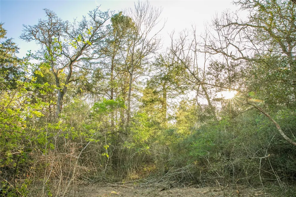 Schoenau Rd Brenham, TX 77833