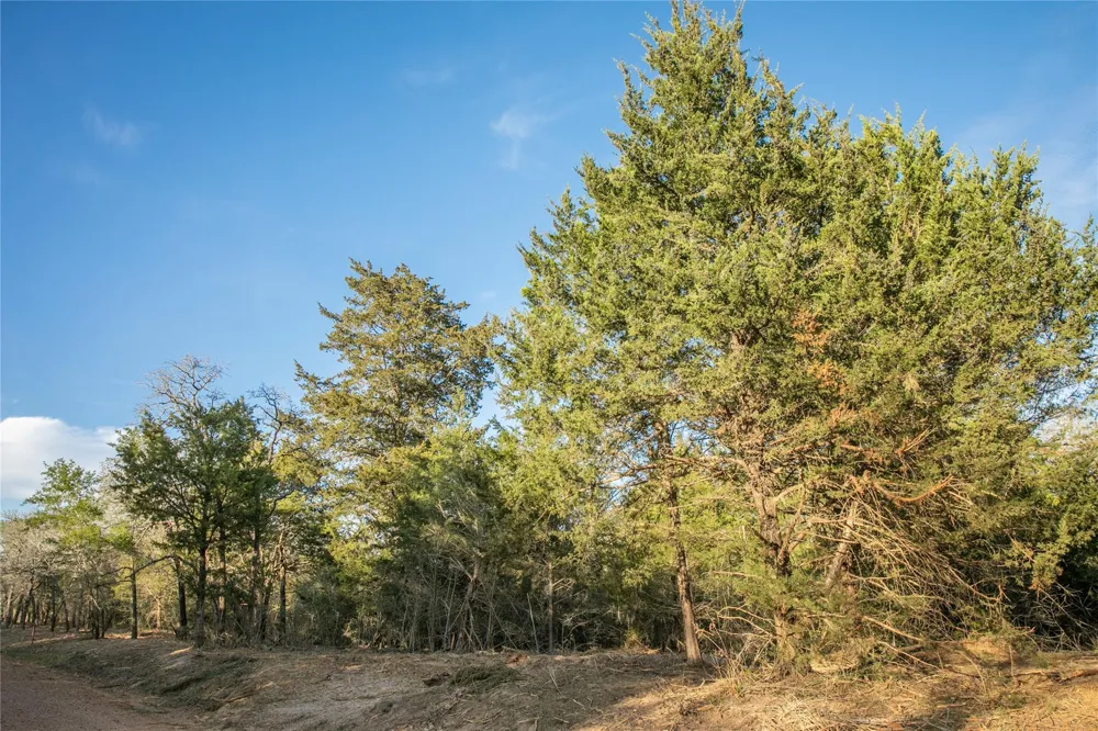 Schoenau Rd Brenham, TX 77833