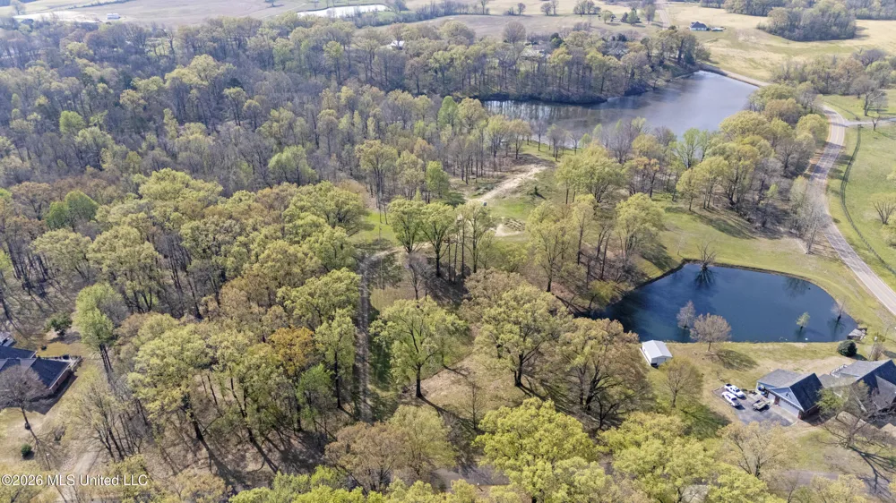 4234 Delta View Road Lake Cormorant, MS 38641