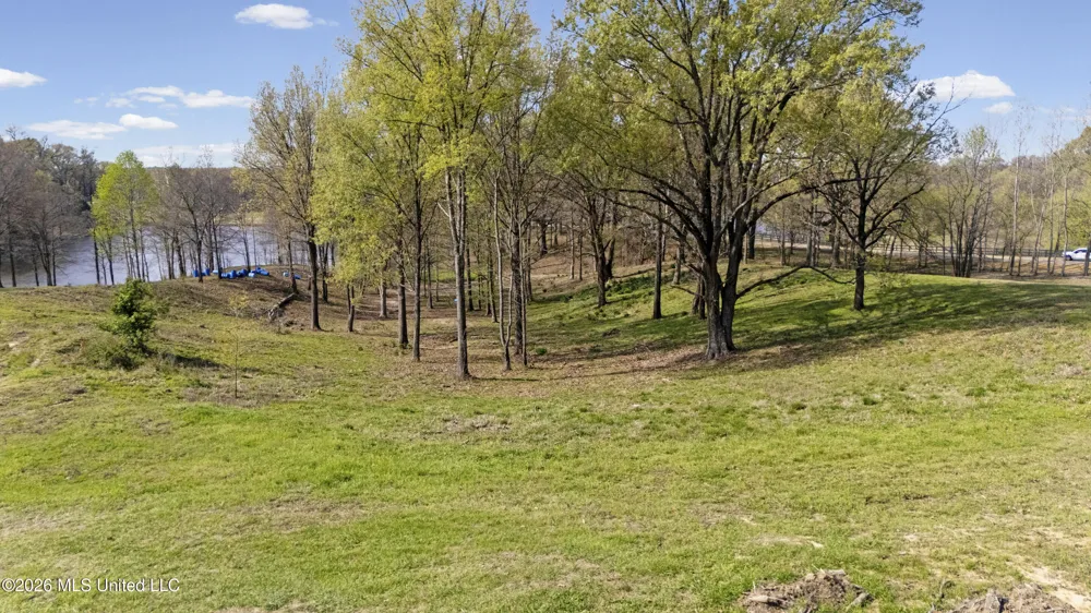 4234 Delta View Road Lake Cormorant, MS 38641