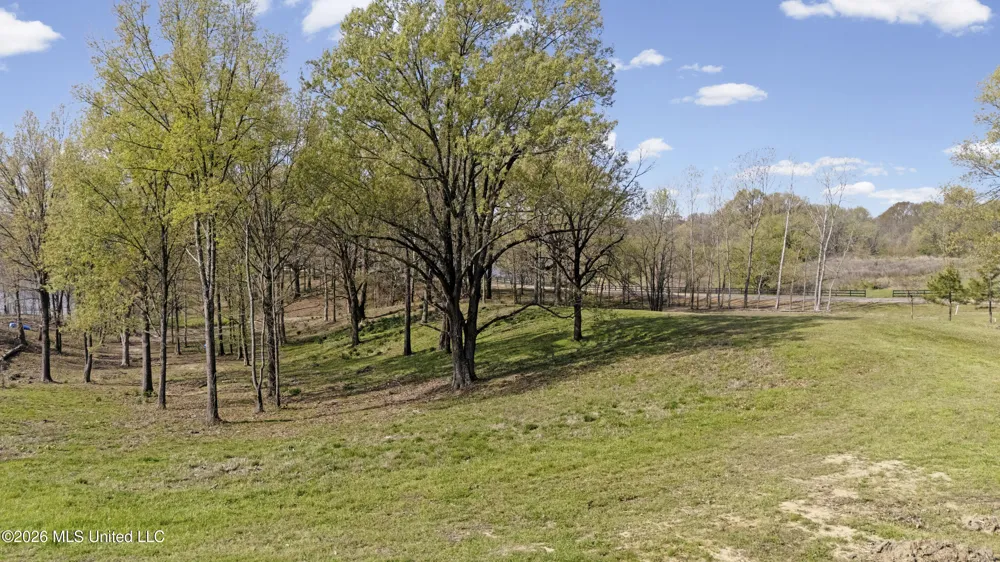4234 Delta View Road Lake Cormorant, MS 38641