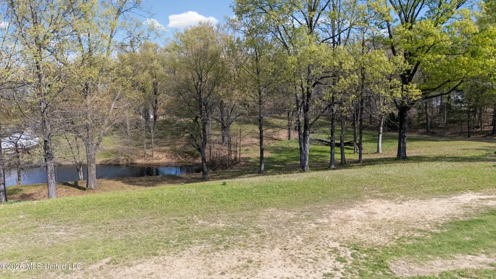 4234 Delta View Road Lake Cormorant, MS 38641