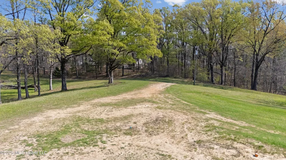 4234 Delta View Road Lake Cormorant, MS 38641
