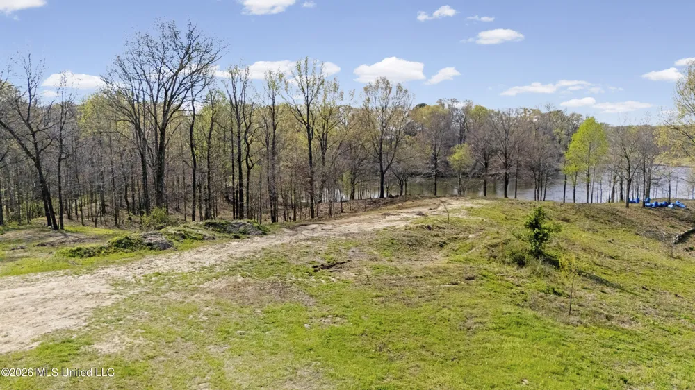 4234 Delta View Road Lake Cormorant, MS 38641