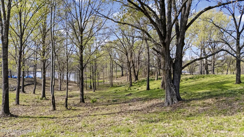4234 Delta View Road Lake Cormorant, MS 38641