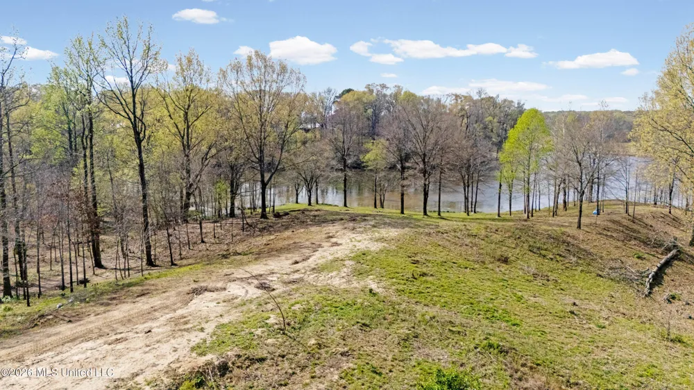 4234 Delta View Road Lake Cormorant, MS 38641