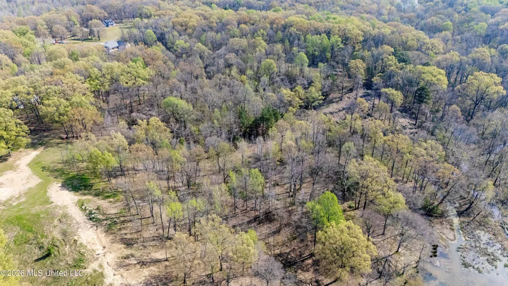 4234 Delta View Road Lake Cormorant, MS 38641