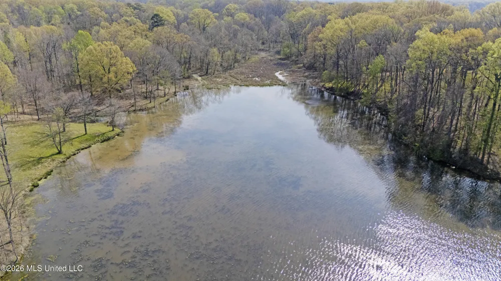4234 Delta View Road Lake Cormorant, MS 38641