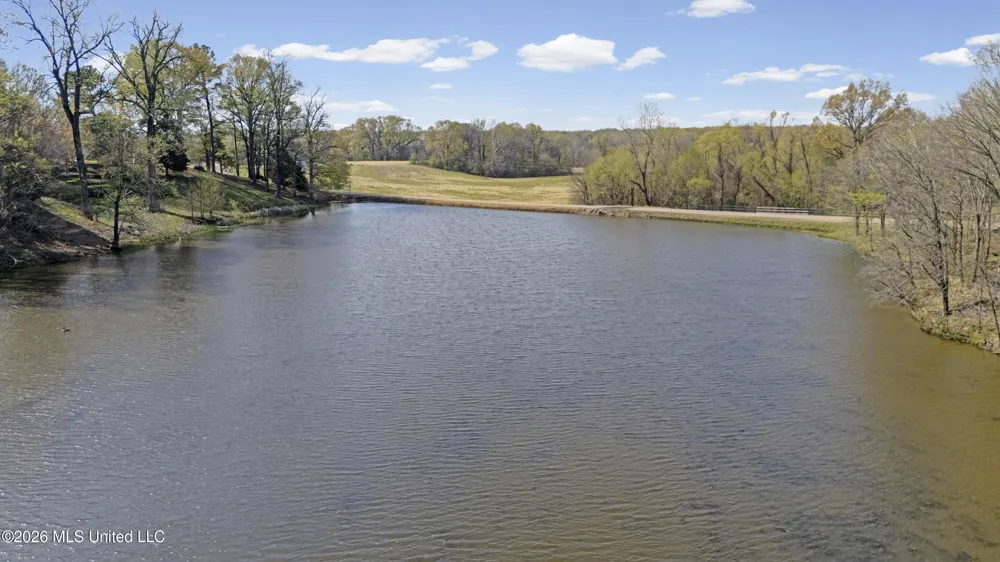 4234 Delta View Road Lake Cormorant, MS 38641