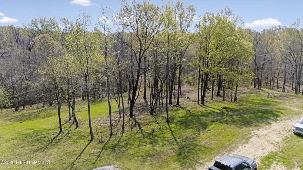 4234 Delta View Road Lake Cormorant, MS 38641