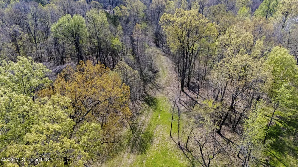 4234 Delta View Road Lake Cormorant, MS 38641