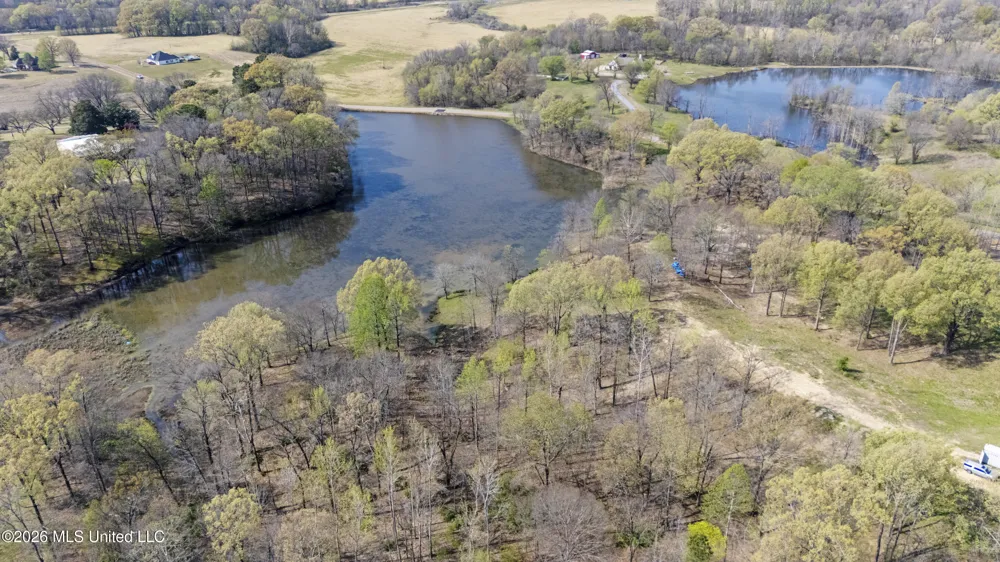 4234 Delta View Road Lake Cormorant, MS 38641
