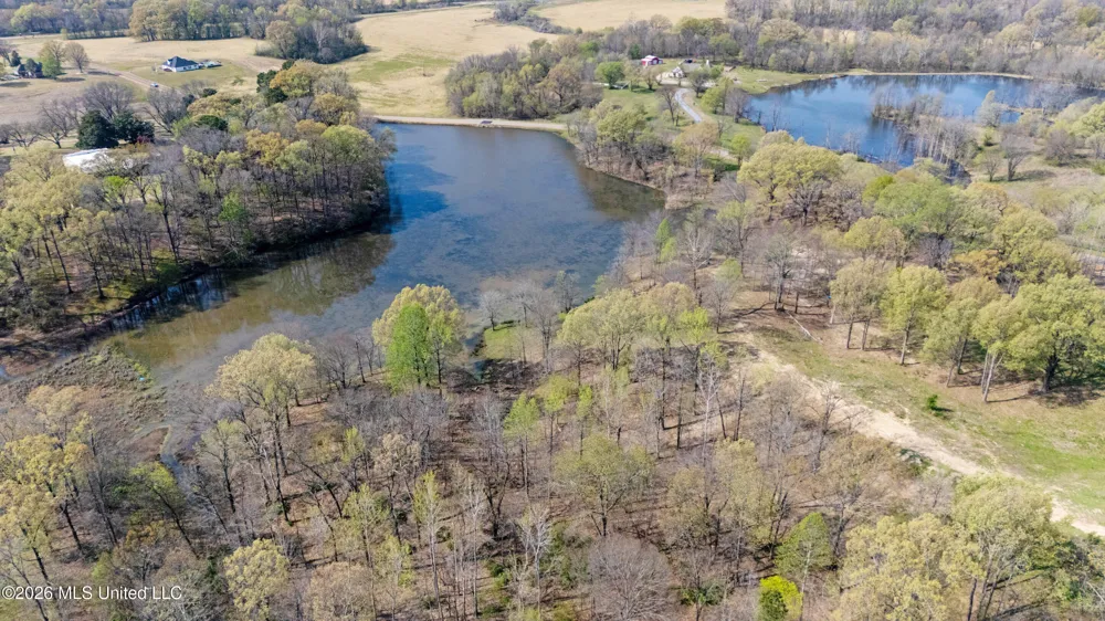 4234 Delta View Road Lake Cormorant, MS 38641