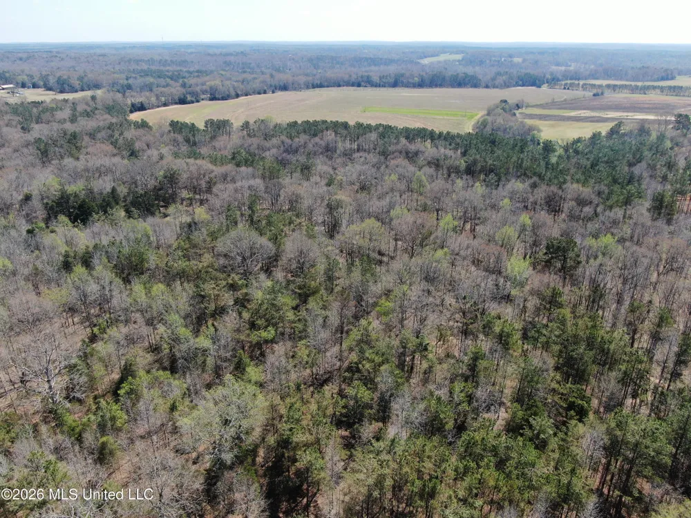 1200 Pottery Road Michigan City, MS 38647