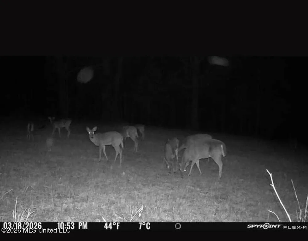 1200 Pottery Road Michigan City, MS 38647