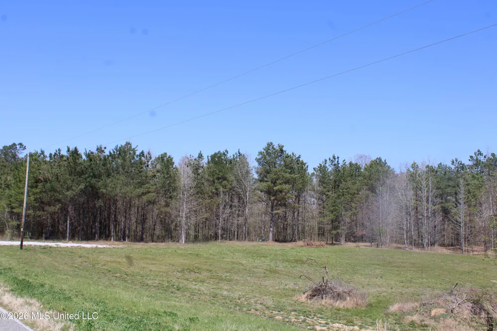 1200 Pottery Road Michigan City, MS 38647