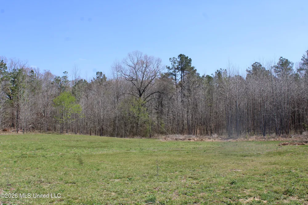 1200 Pottery Road Michigan City, MS 38647