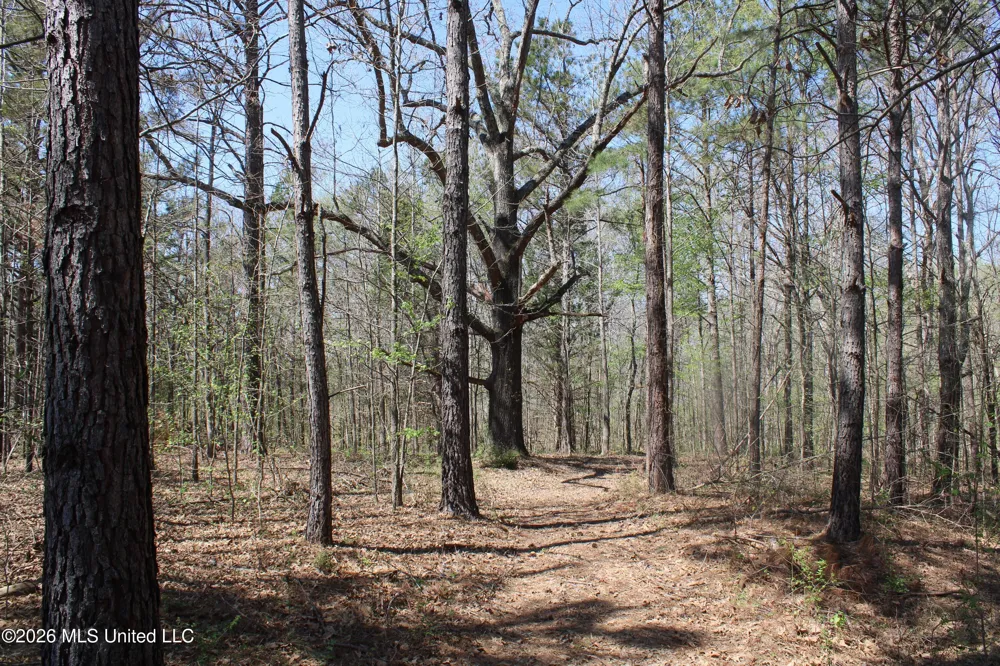 1200 Pottery Road Michigan City, MS 38647