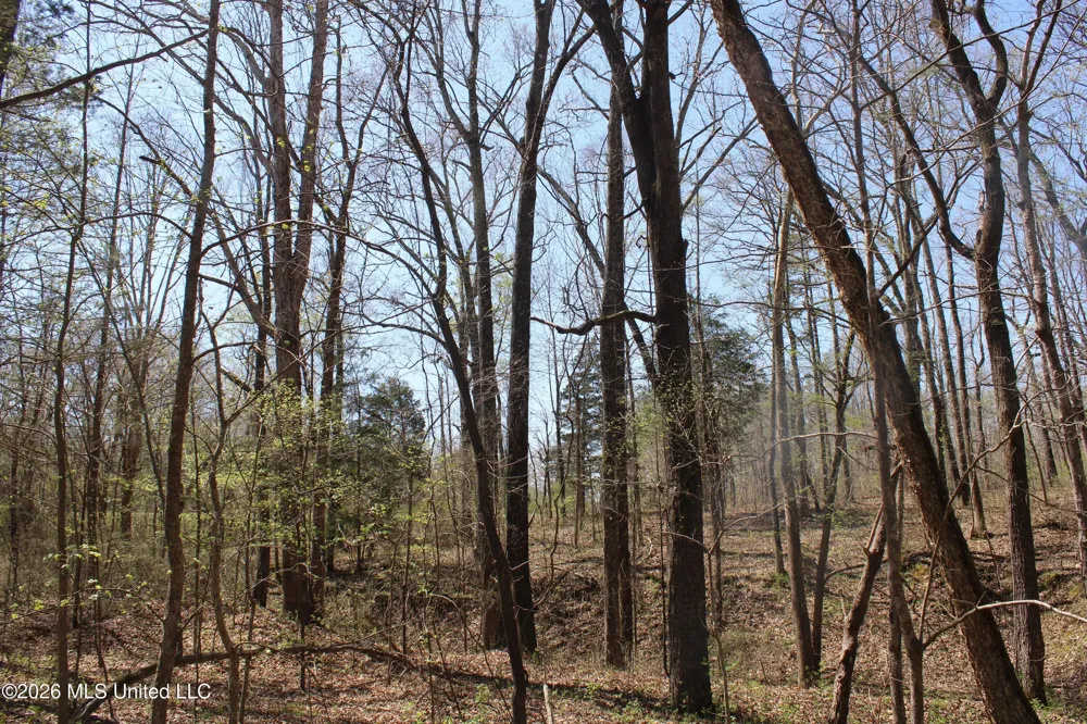 1200 Pottery Road Michigan City, MS 38647