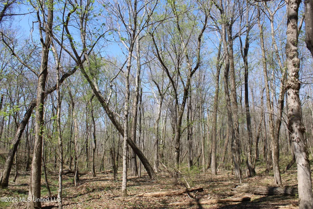 1200 Pottery Road Michigan City, MS 38647