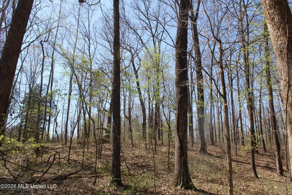 1200 Pottery Road Michigan City, MS 38647