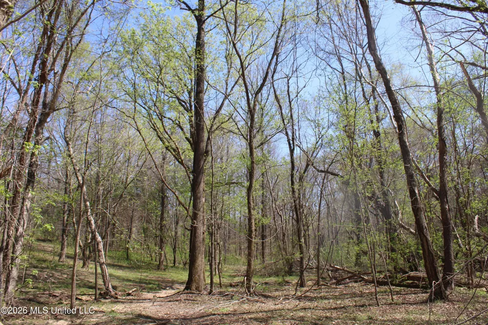 1200 Pottery Road Michigan City, MS 38647