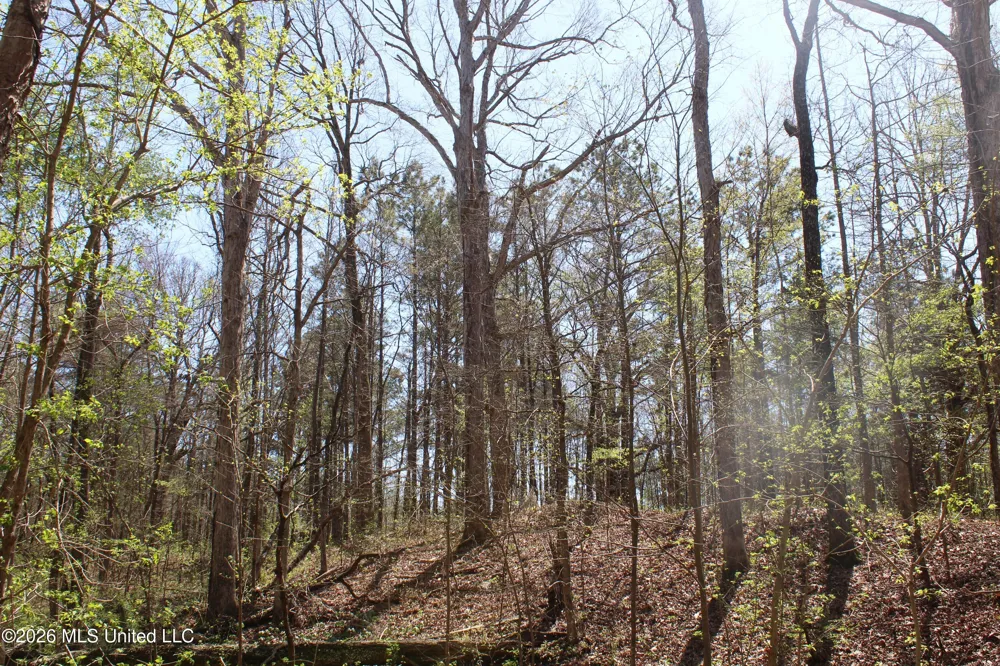 1200 Pottery Road Michigan City, MS 38647