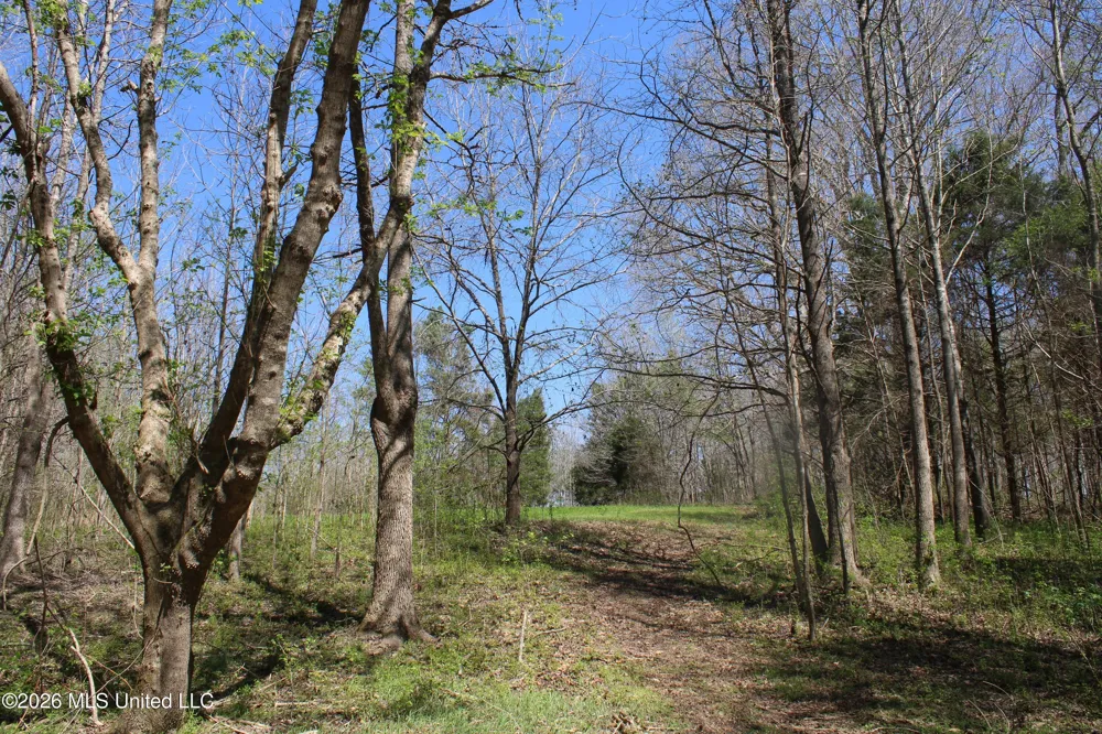 1200 Pottery Road Michigan City, MS 38647