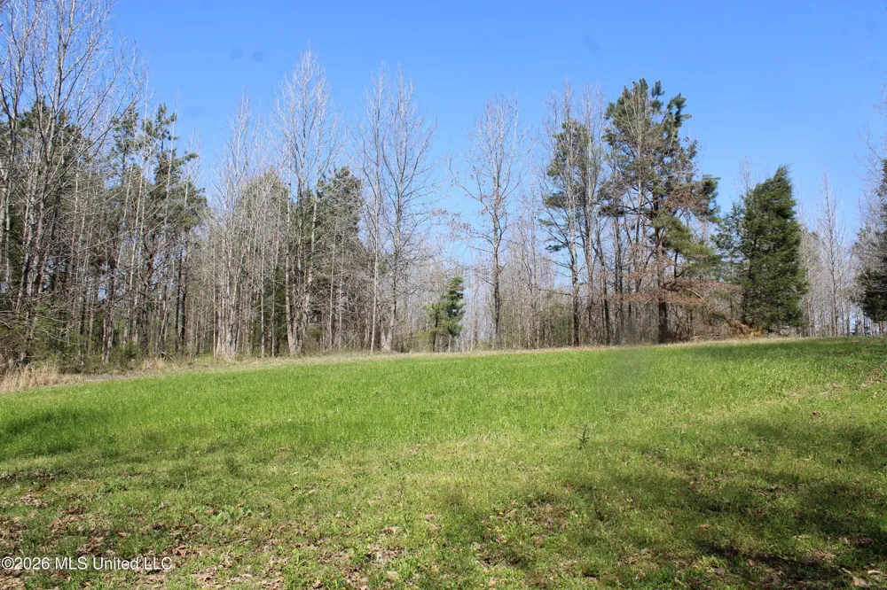 1200 Pottery Road Michigan City, MS 38647