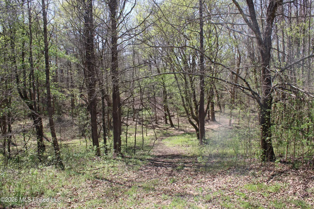 1200 Pottery Road Michigan City, MS 38647