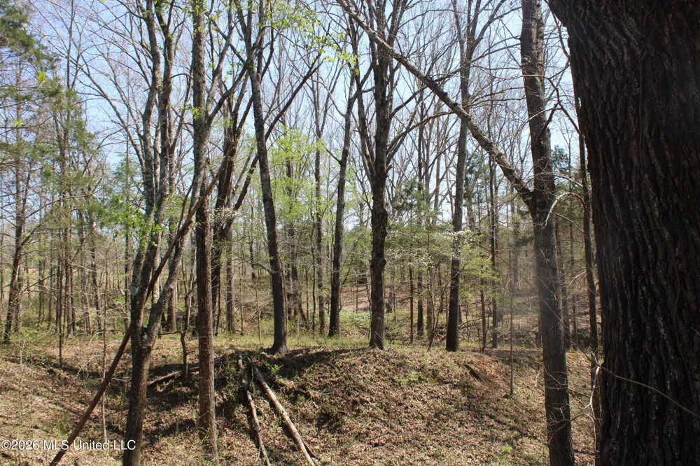 1200 Pottery Road Michigan City, MS 38647