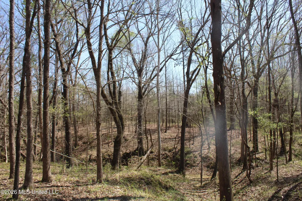 1200 Pottery Road Michigan City, MS 38647