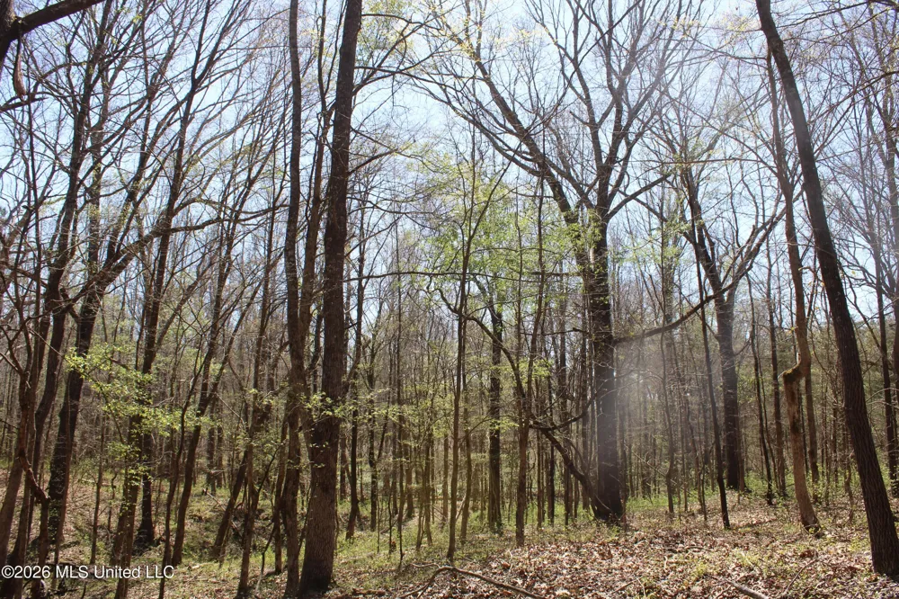 1200 Pottery Road Michigan City, MS 38647
