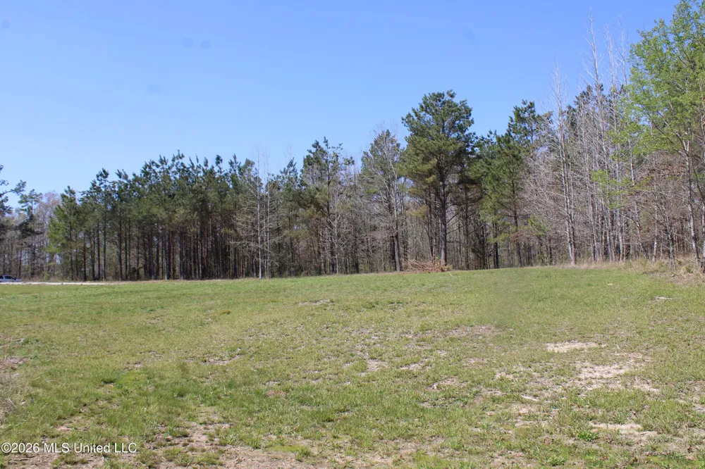 1200 Pottery Road Michigan City, MS 38647