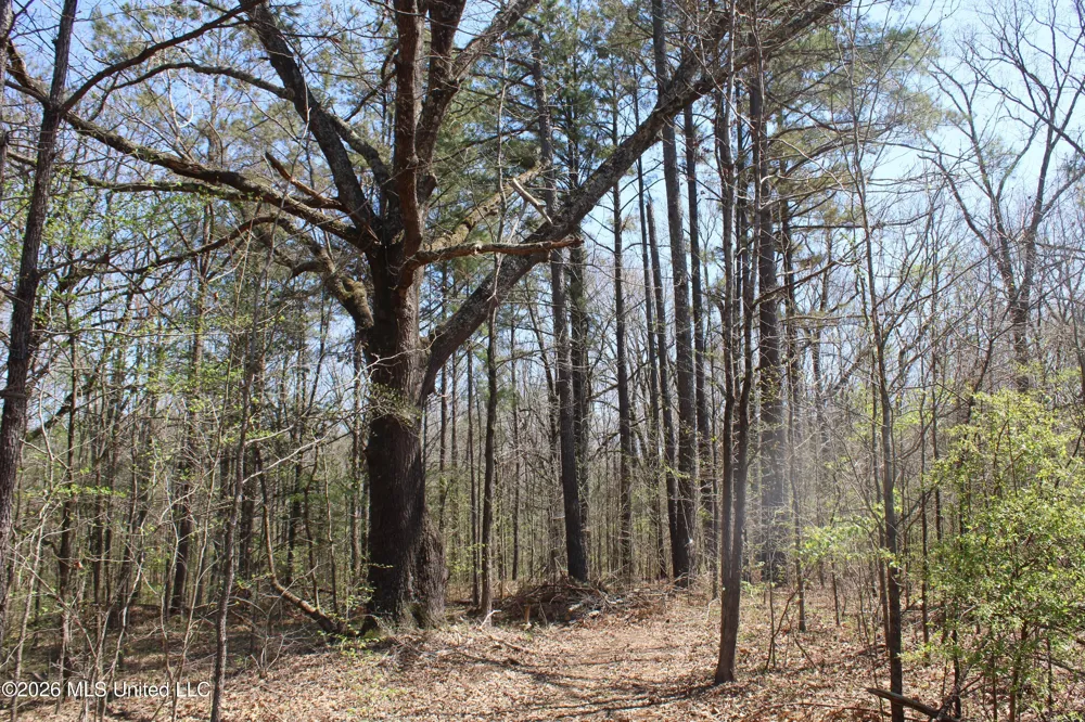 1200 Pottery Road Michigan City, MS 38647