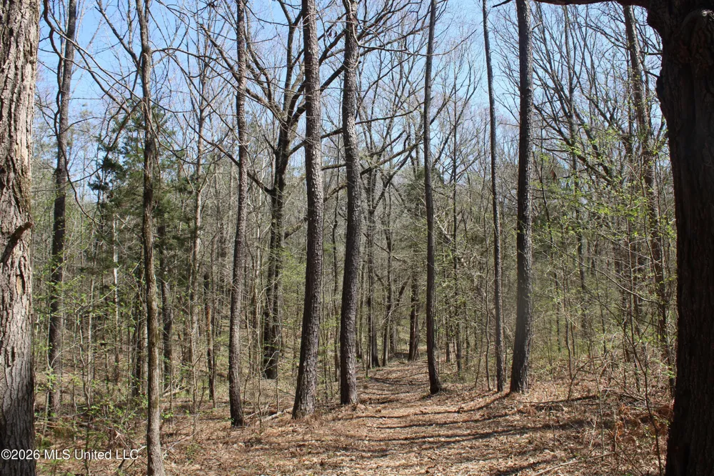 1200 Pottery Road Michigan City, MS 38647