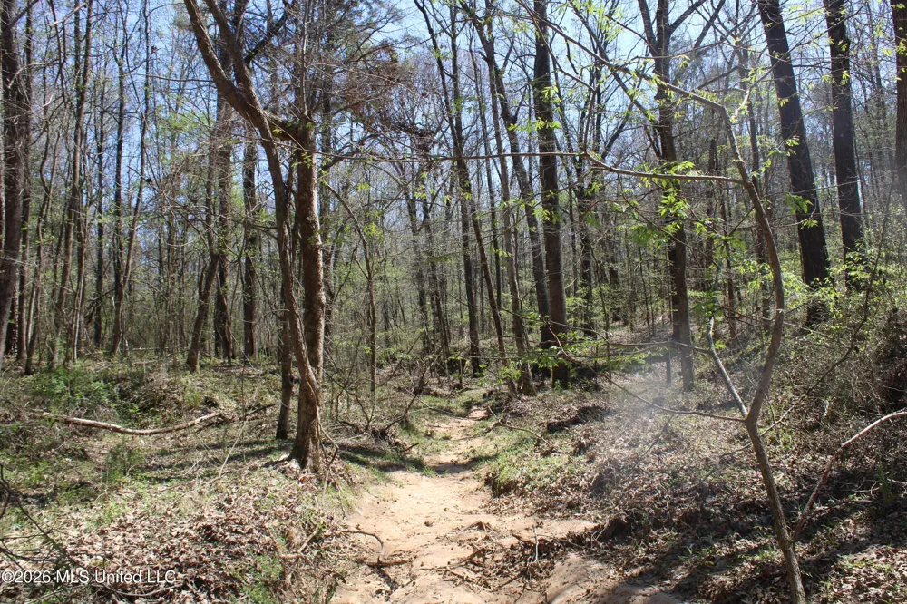 1200 Pottery Road Michigan City, MS 38647
