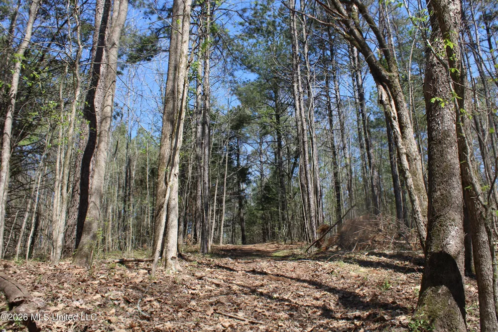 1200 Pottery Road Michigan City, MS 38647