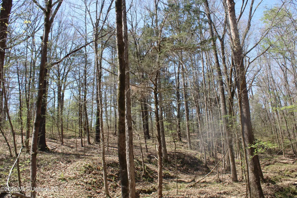 1200 Pottery Road Michigan City, MS 38647
