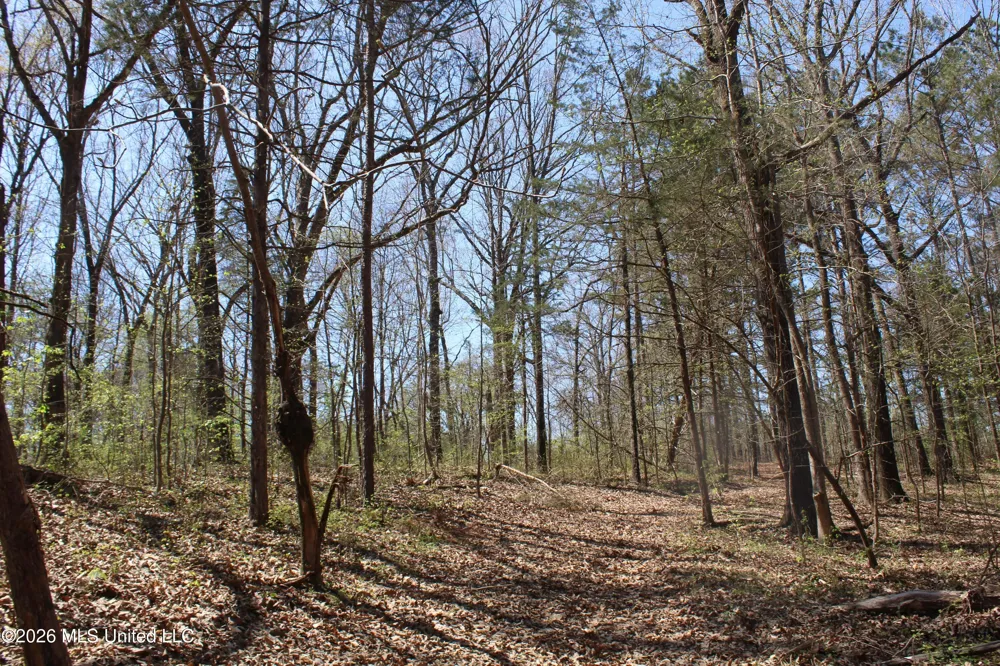 1200 Pottery Road Michigan City, MS 38647
