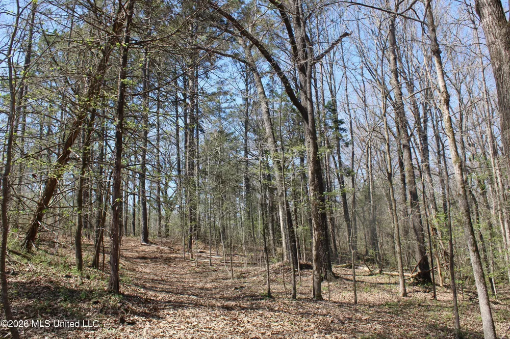1200 Pottery Road Michigan City, MS 38647