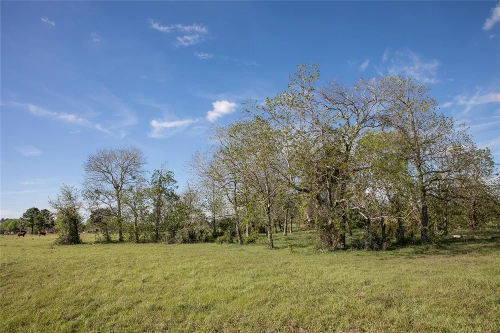 Trenckmann Road Sealy, TX 77474