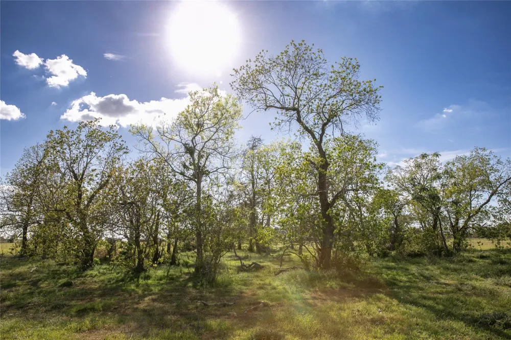 Trenckmann Road Sealy, TX 77474