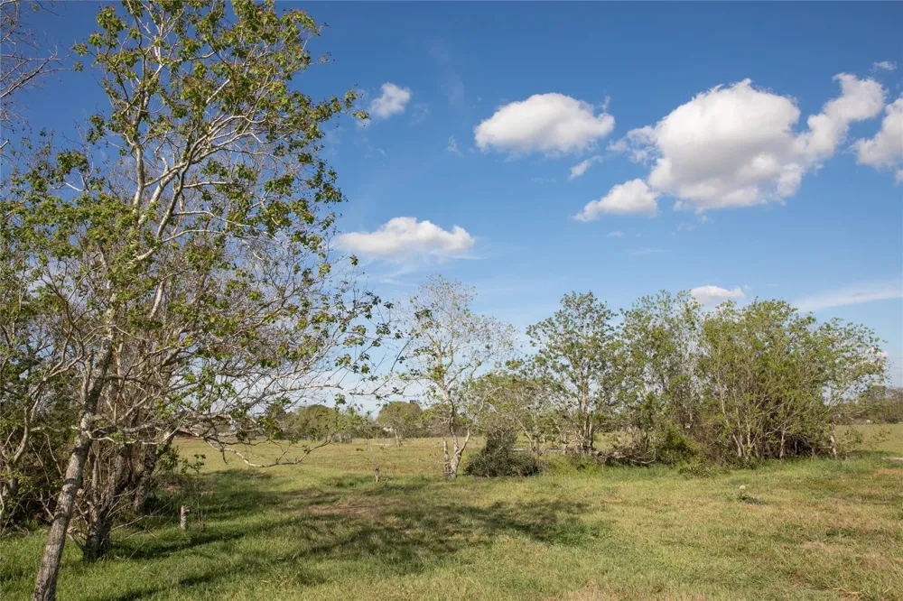 Trenckmann Road Sealy, TX 77474
