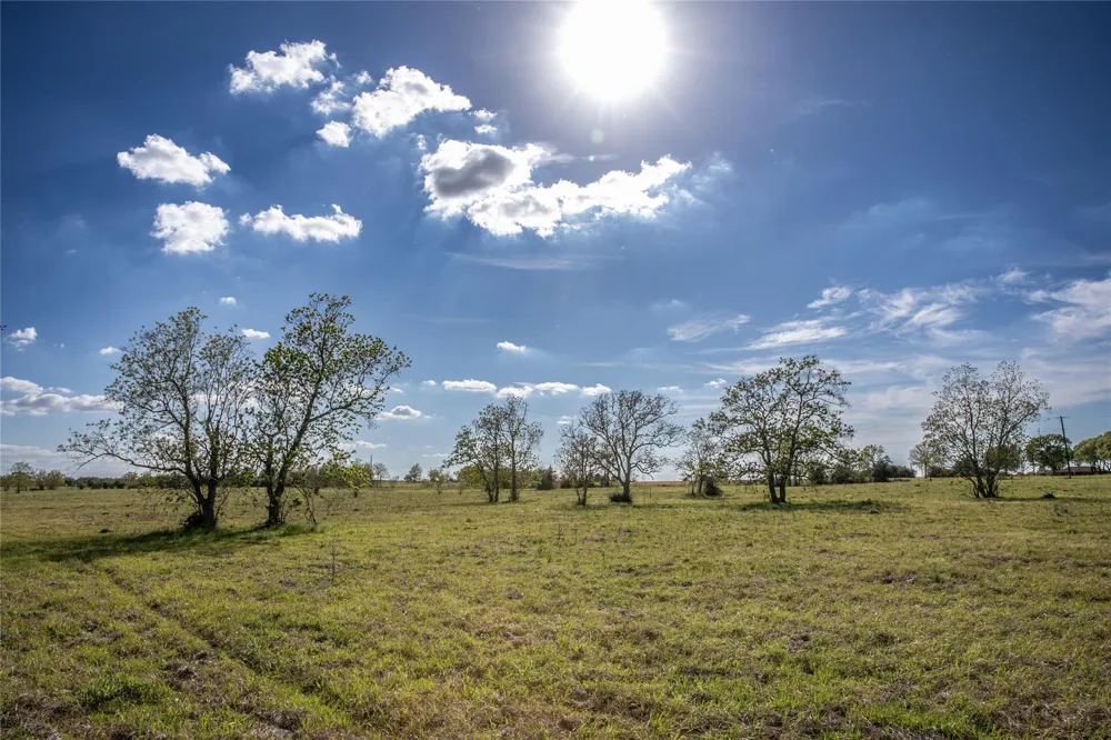 Trenckmann Road Sealy, TX 77474
